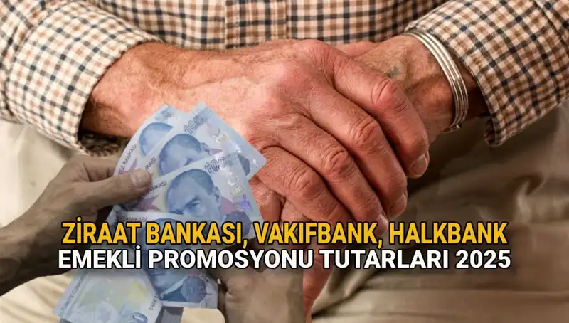 Emeklilere Müjde! 2025 Kamu Bankaları Promosyonları Açıklandı