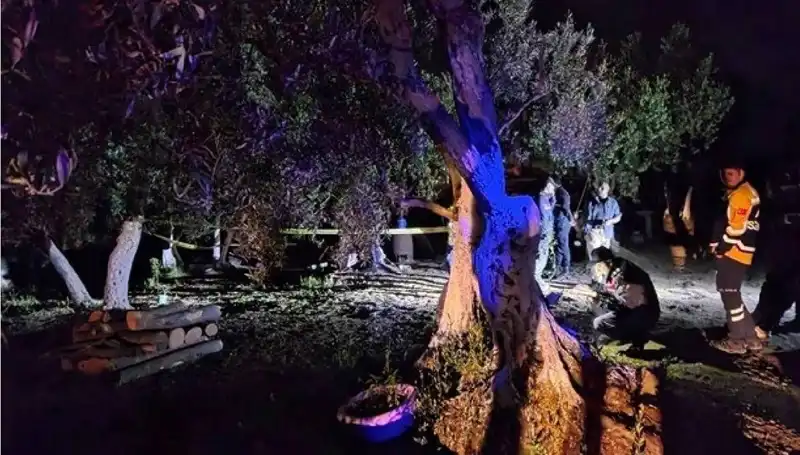Çiftlikteki Şok Edici Baltalı Vahşet: Bir Tutuklama Gerçekleşti!