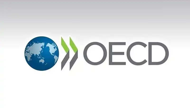 Türkiye’nin Ekonomik Geleceği: OECD Büyüme Tahminini Açıkladı