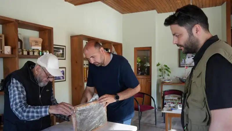 Doktorlar Uyarıyor: Bu Doğal İlaç Hem Şifa Hem de Zehir Olabilir
