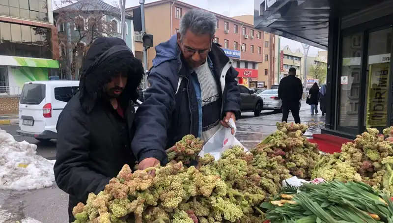 Kendiliğinden Yetişen Vitamin Deposunun Kanserle Mücadeledeki Etkileri