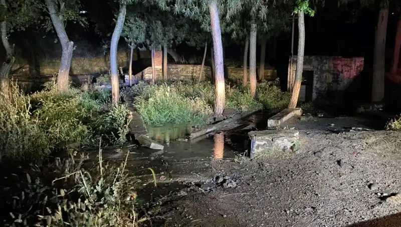 Manisa'da Gizemli Park Ölümü: Şüpheli Olayın Ardındaki Gerçekler Neler?
