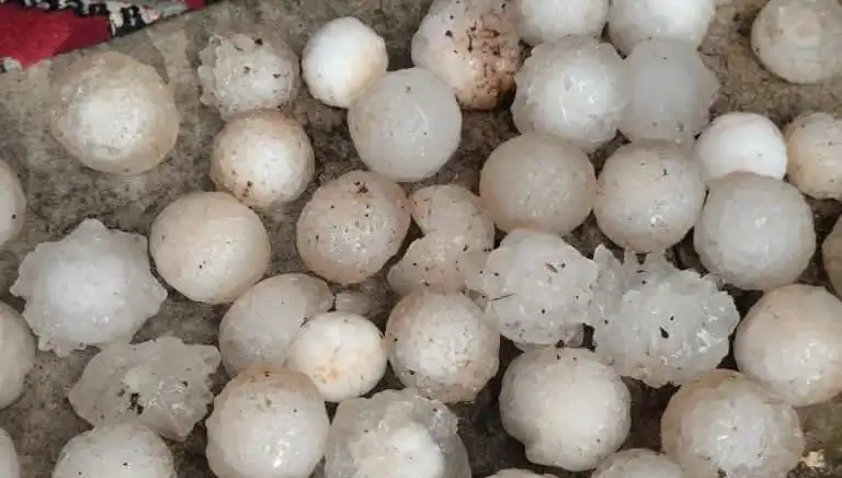 Şanlıurfa'da Şaşkınlık Yaratan Kar Topu Büyüklüğünde Dolu Yağışı