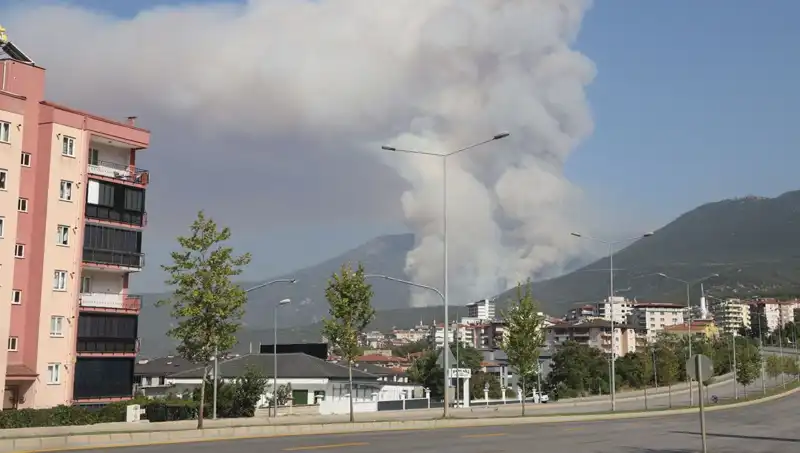 Denizli'de Orman Yangını! Bir Şüpheli Gözaltında, Yangının Sebebi Merak Ediliyor