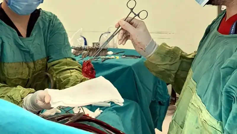 Kalp Kapağındaki Çürümeyi Yenerek Hayata Dönmek: 7 Saat Süren Ameliyatın Ardındaki Mucize