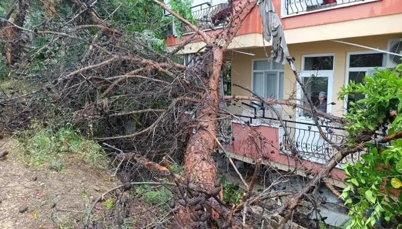 Yağmurun gücü: Bina Göçtü, Şehirde Panik Başladı