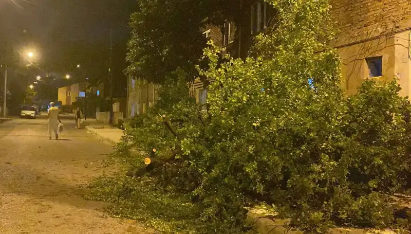 Karabük'te Şiddetli Fırtına Hayatı Olumsuz Etkiledi, Zarar Büyüdü