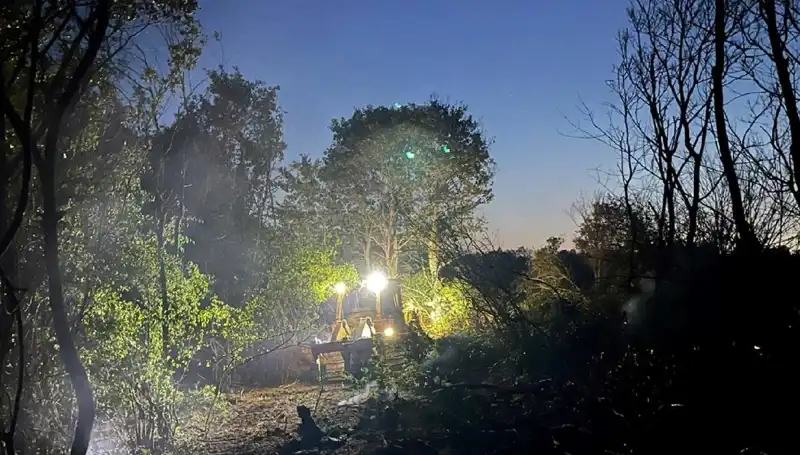 Edirne'deki Orman Yangını Kontrol Altına Alındı: İlgili Kurumlar Duyurdu