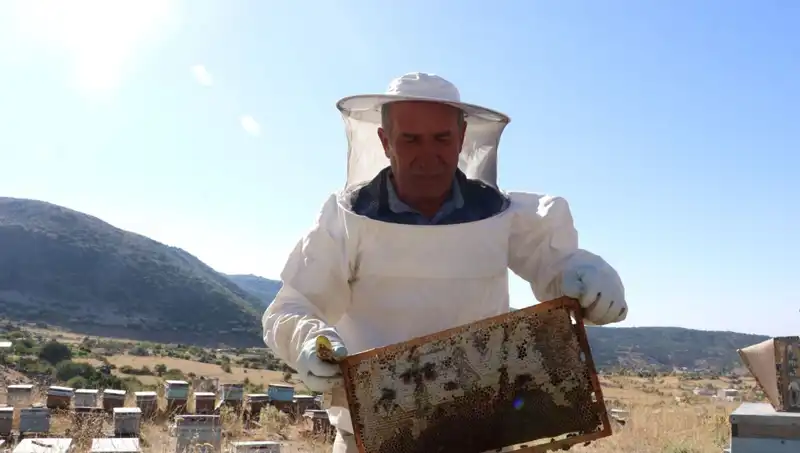 25 Yıl Önce Mobilya İşini Bıraktı, Bu Yıl 2 Ton Üretti!