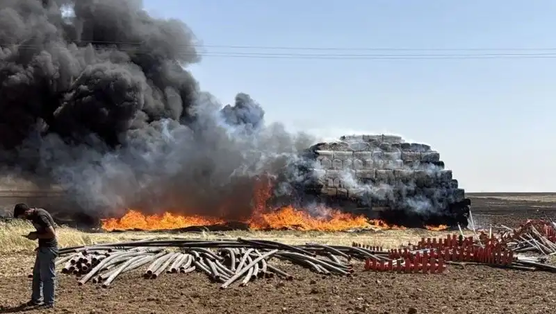 Mardin'de Anız Yangınları: Tarım Üzerindeki Etkileri ve Önlemler