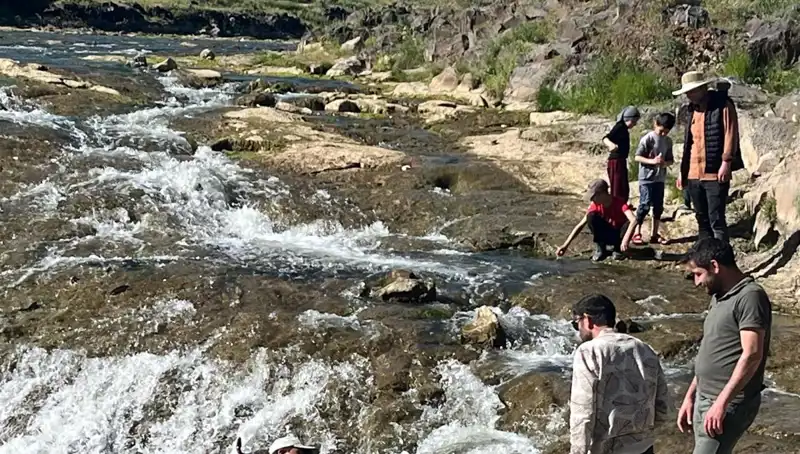 İnci Kefali Göçü: Doğanın En Büyüleyici Gösterisi Başladı!
