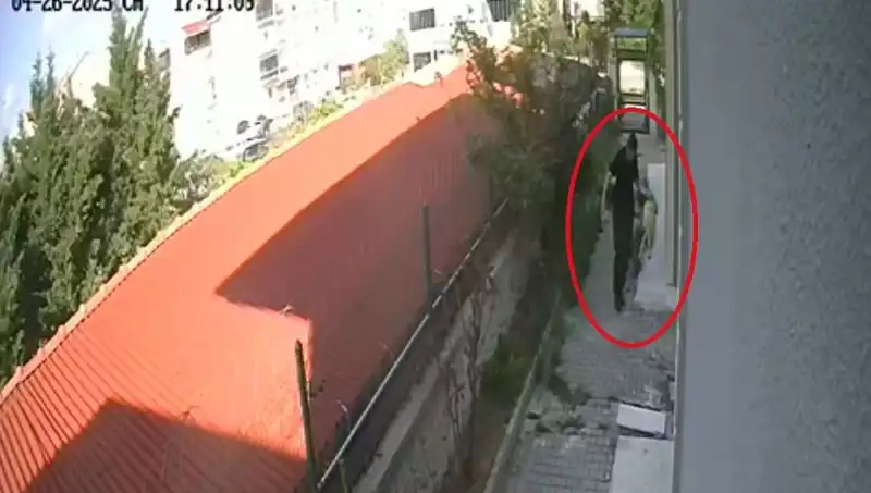 Veteriner Doktor Köpekleri Parçalayıp Öldürmekten Tutuklandı!