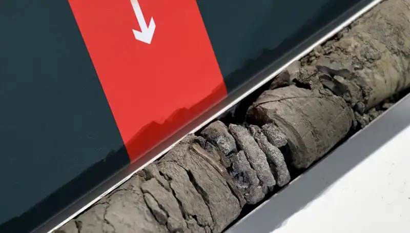 Dikkat Çekici Keşif: Müze Otoparkında Dinozor Fosili Bulundu!