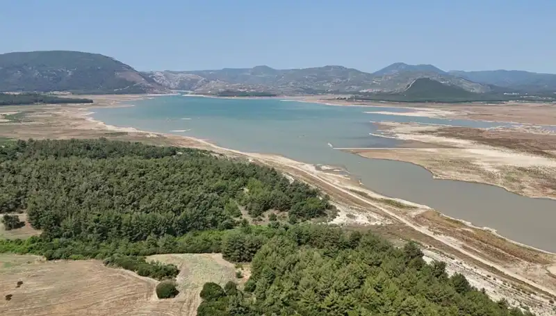 İzmir'de Tehlike Çanları: Geçen Yıla Göre Yüzde 50 Düşüşle Alarm Veriyor