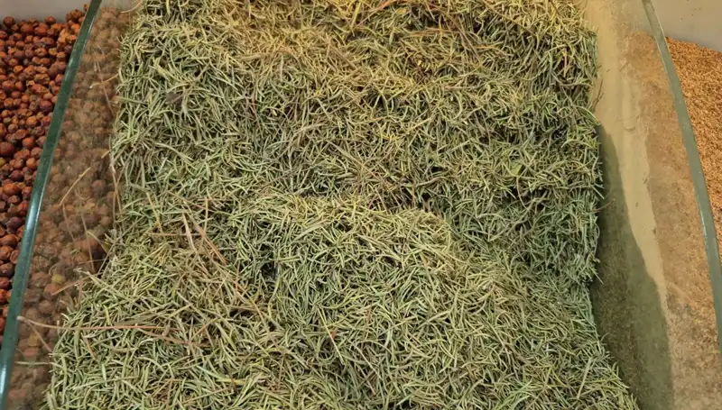Yaz Aylarında Artan İnternet Satışları: Ölüme Götüren İhtiyaçlar