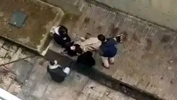 Kampüste Köpek Paniği: Öğrenci Betona Düştü, Hastaneye Kaldırıldı!