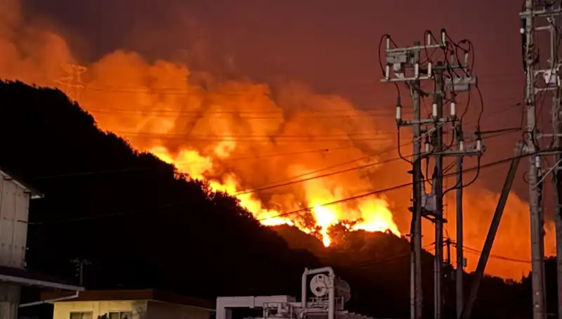 Japonya'da Orman Yangınları: 2 Eyalet Alevlerle Mücadele Ediyor