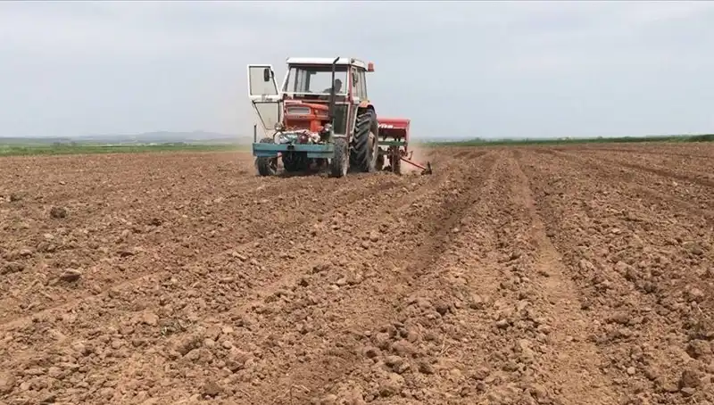 Son 35 Yılın En Kurak Mart Ayı: Yağış Miktarında Olumsuz Rekor!