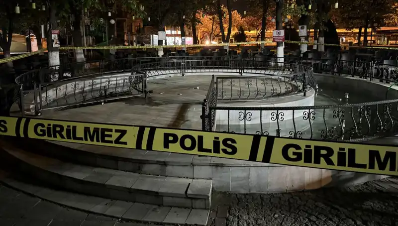 Kırklareli'nde Süs Havuzunda Yaşanan Olay: Dört Kişi Hastanelik Oldu