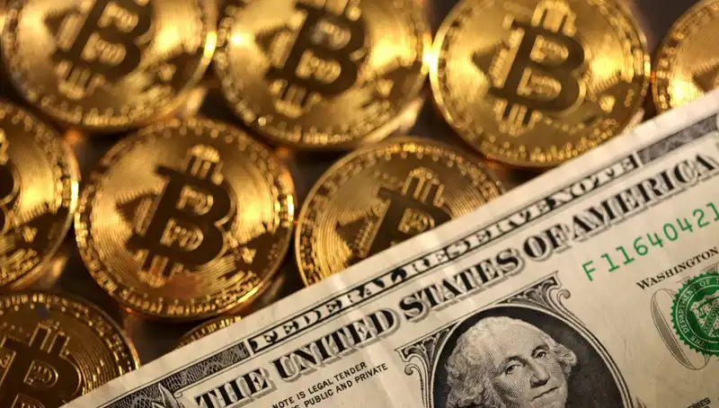 Kripto Fonları Piyasa Düşüşünde 4,75 Milyar Dolar Kaybetti: Nedenleri ve Gelecek Beklentileri