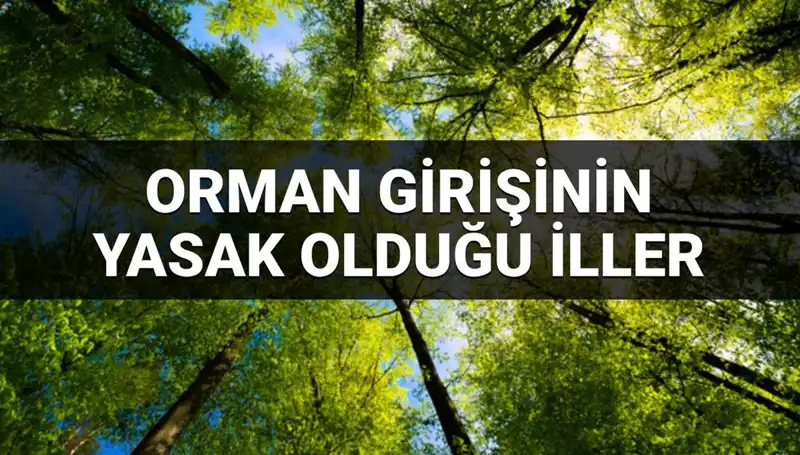 2025 Yılı İçin Ormana Girişi Yasaklanan İller: Hangileri?